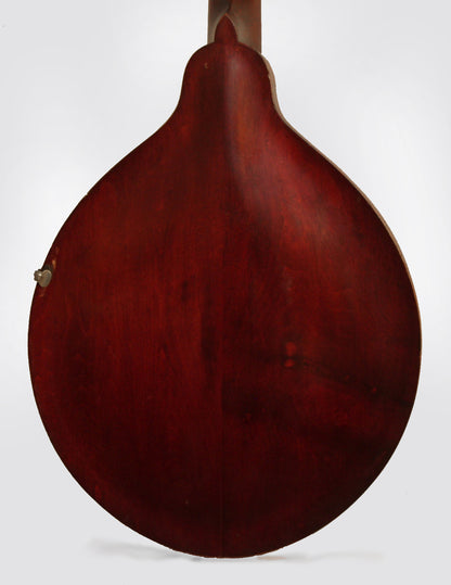 Gibson K-1 Mandocello (1914)