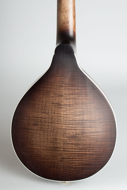 Gold Tone GM-Custom Arch Top Mandolin (2014)
