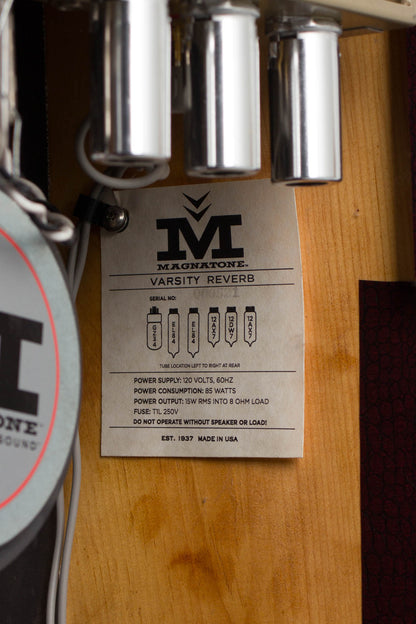 Magnatone Varsity Reverb Tube Amplifier (2013)