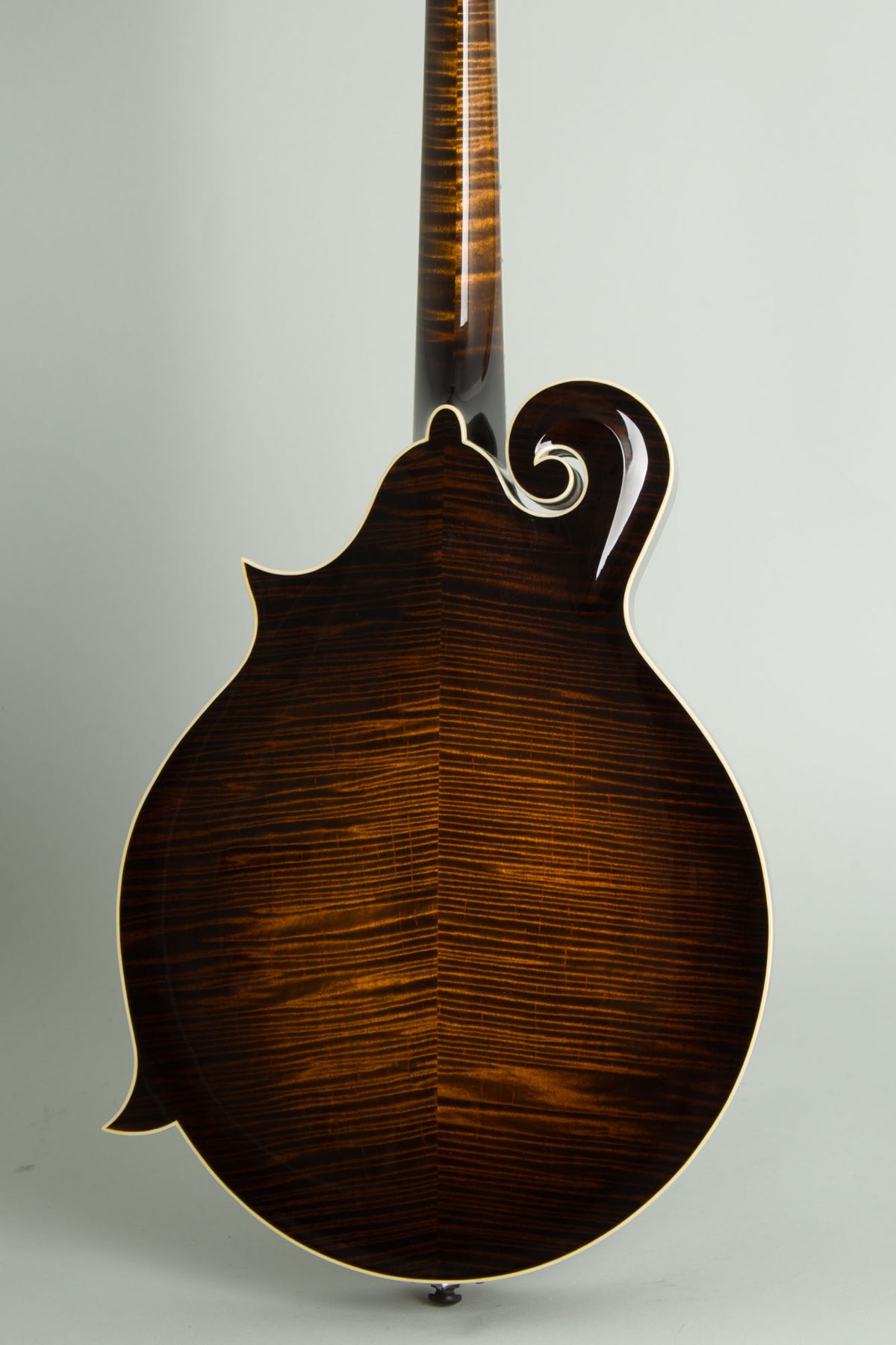 Northfield NFB-5FA Big Mon Carved Top Mandolin (2026)