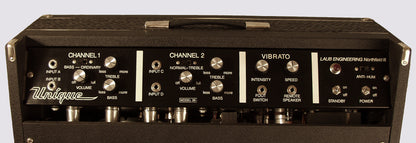 Magnatone Unique Model 26 Tube Guitar Amplifier (1967)