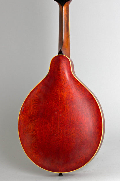 Gibson A-4 Carved Top Mandolin (1913)