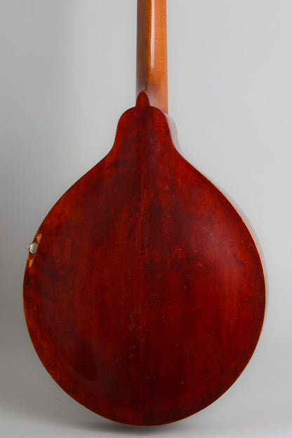 Gibson K-1 Carved Top Mandocello (1915)