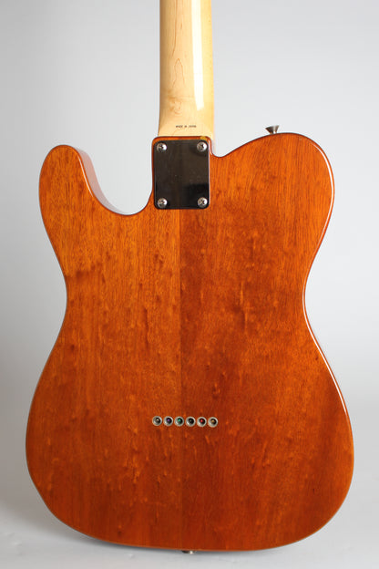 Fender Telecaster Thinline 1969 Re-Issue Solid Body Electric Guitar (1985)