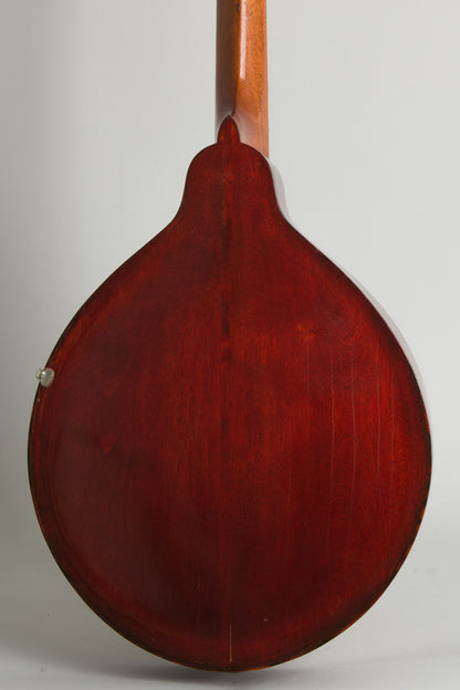 Gibson K-1 Carved Top Mandocello (1914)