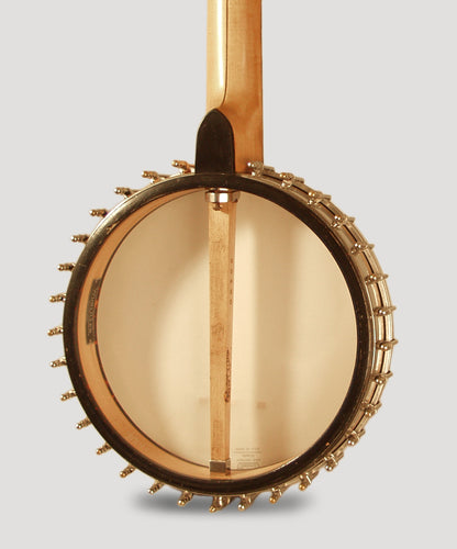 Vega Whyte Laydie Guitar Banjo (1925)