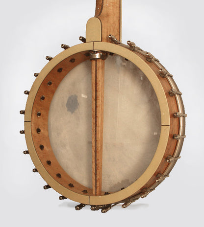 Alden Composite Orpheum Style 5 String Banjo (1990)