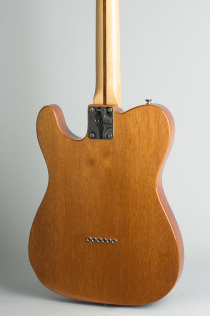 Fender Telecaster Thinline Semi-Hollow Body Electric Guitar (1969)