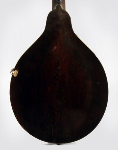 Gibson Style A ""Snakehead"" Carved Top Mandolin (1923)