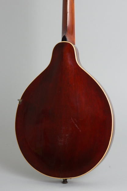 Gibson A-4 Carved Top Mandolin (1909)
