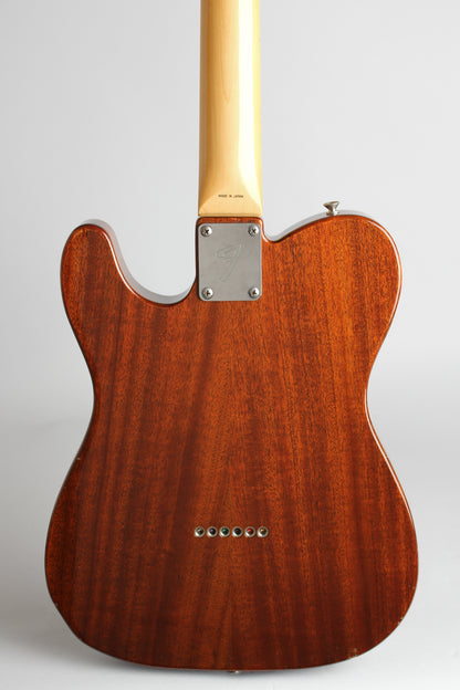 Fender Telecaster Thinline 1969 Re-Issue Solid Body Electric Guitar (1985)