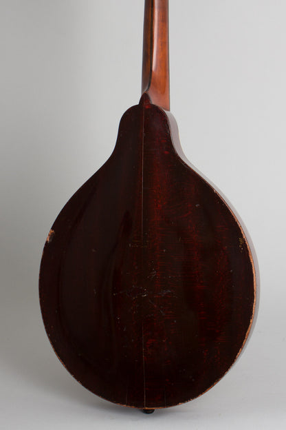 Gibson Style A-1 Carved Top Mandolin (1910)