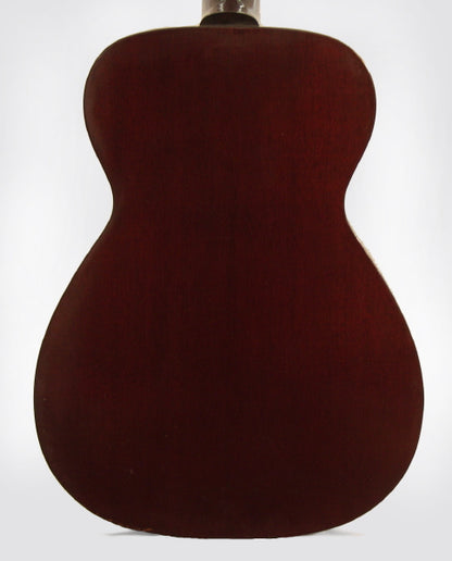 Guild F-20 Flat Top Acoustic Guitar (1964)