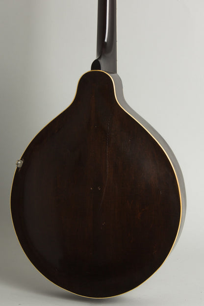 Gibson K-1 Carved Top Mandocello (1924)