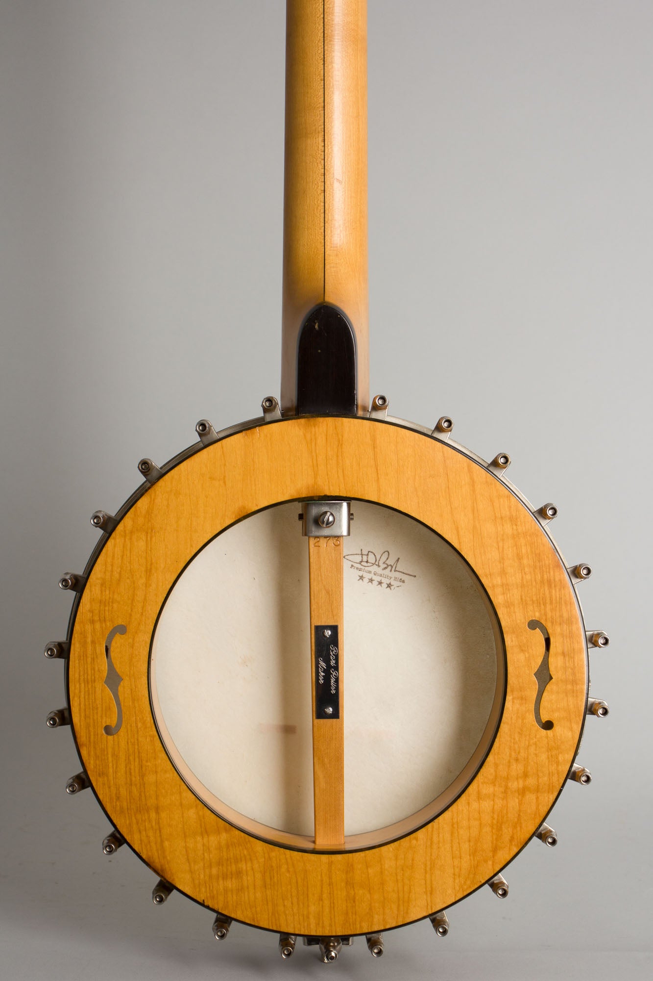 Bart Reiter Professional 5 String Banjo