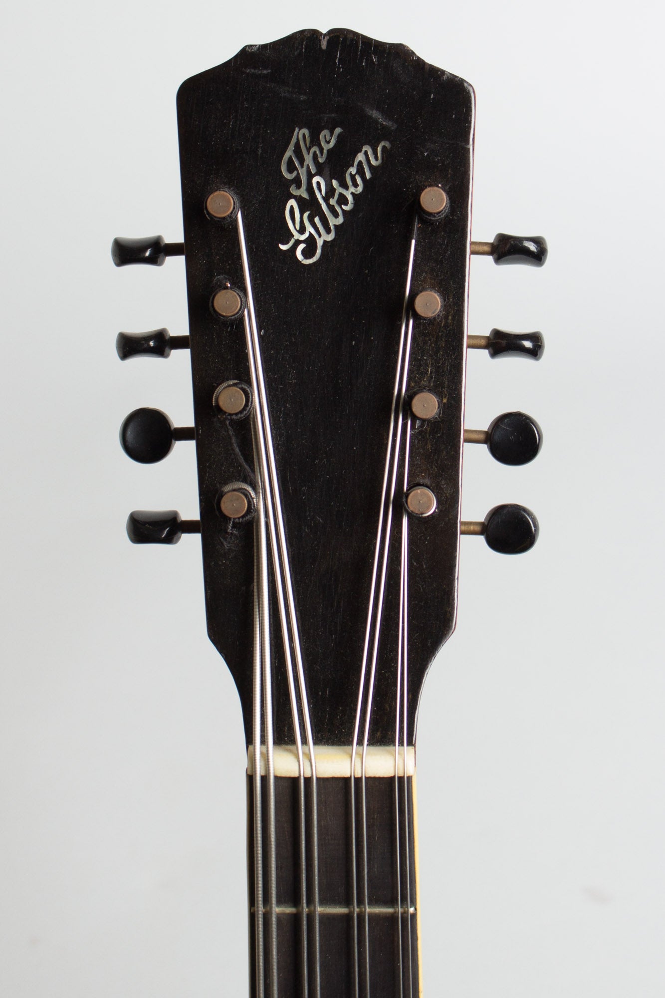 Gibson K-1 Carved Top Mandocello (1912)