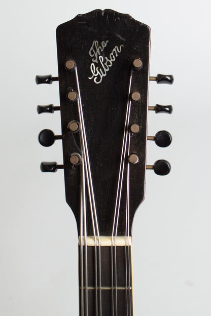 Gibson K-1 Carved Top Mandocello (1912)