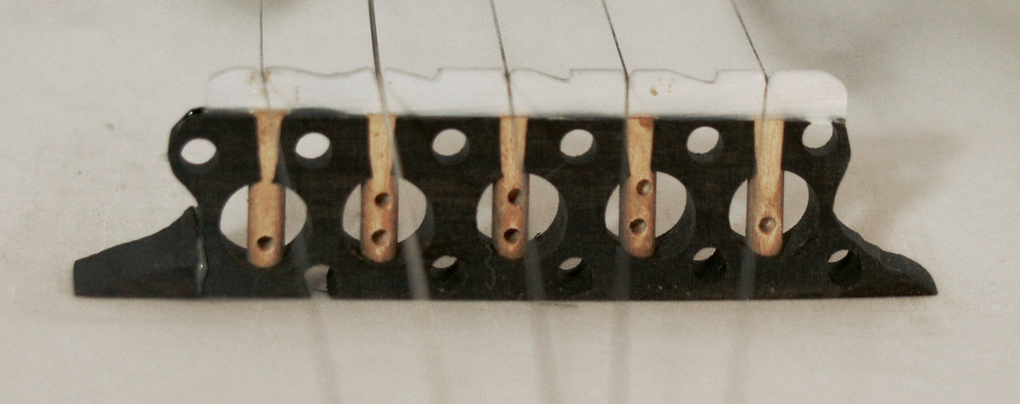 Alden Composite 5 String Fretless Banjo (1980's)