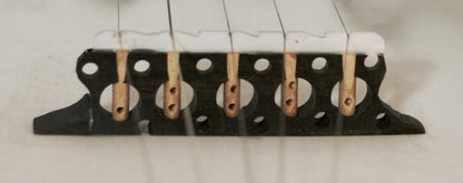 Alden Composite 5 String Fretless Banjo (1980's)