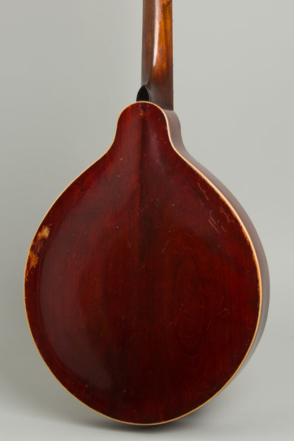 Gibson K-2 Carved Top Mandocello (1914)