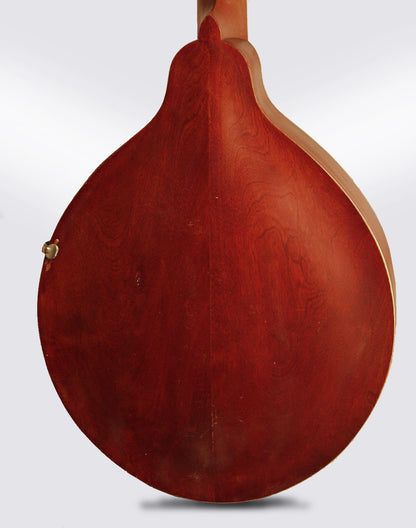 Gibson K-1 Carved Top Mandocello (1912)