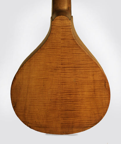 Michael Rauch Cittern (1765)
