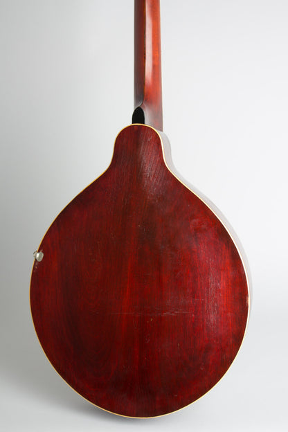 Gibson K-2 Carved Top Mandocello (1911)