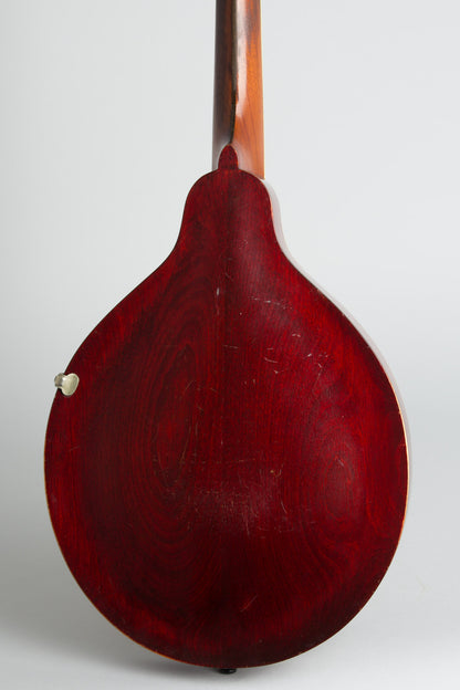 Gibson Style A-1 Carved Top Mandolin (1916)