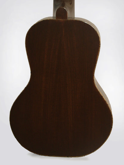 Pahu Kani Longneck Concert Ukulele (2009)