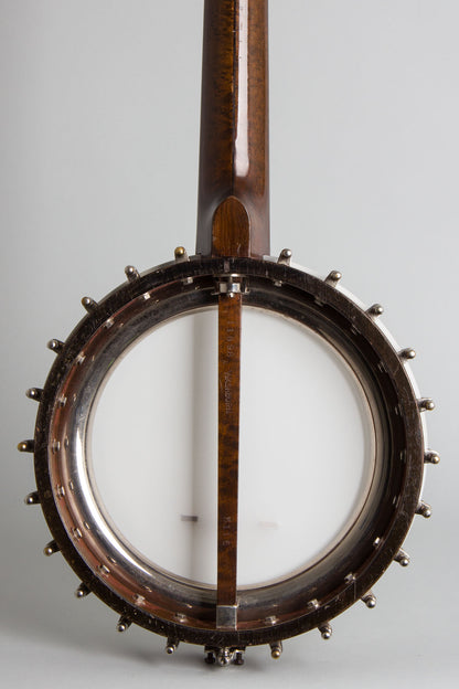 Lyon & Healy Washburn Model 5115 Guitar Banjo (1928)