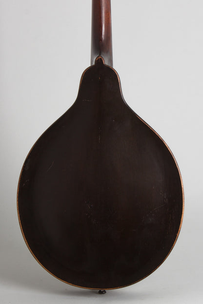 Gibson Style A Snakehead Carved Top Mandolin (1925)
