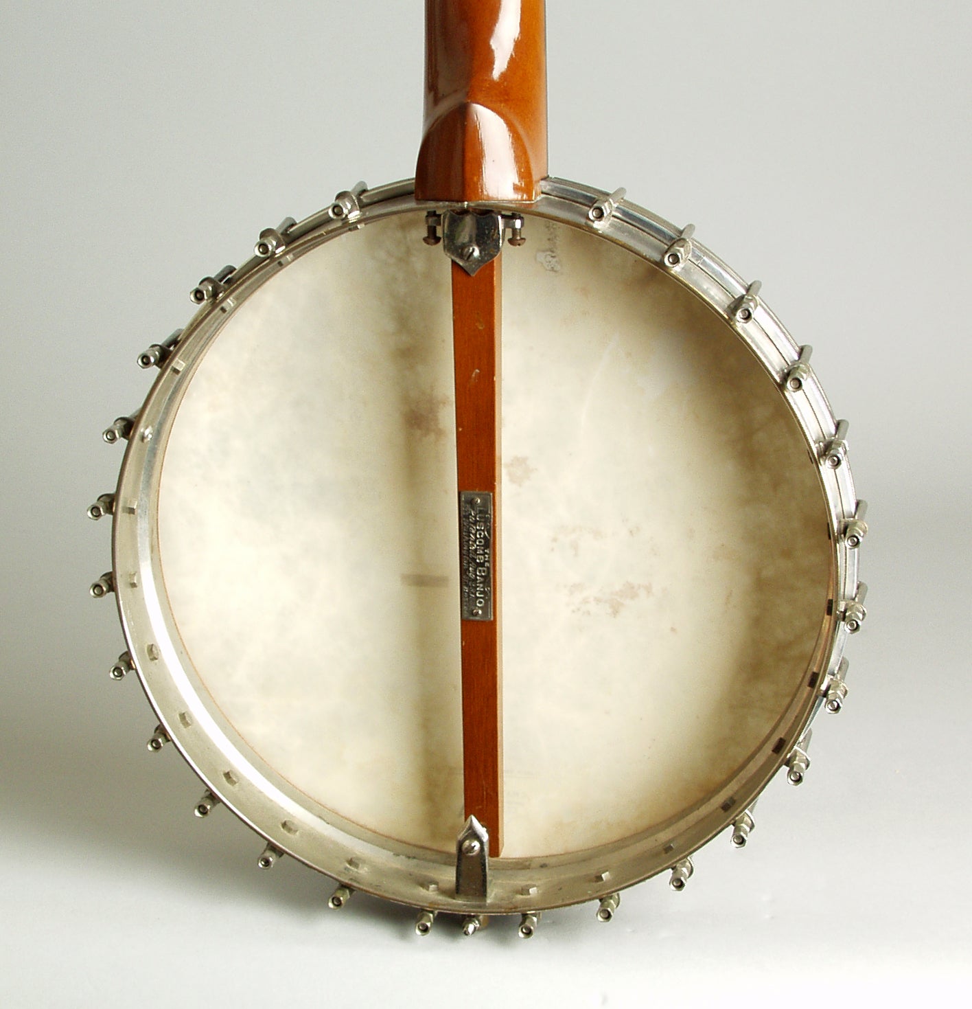 Luscomb composite with Jim DeCava Neck 5 String Banjo (1895)