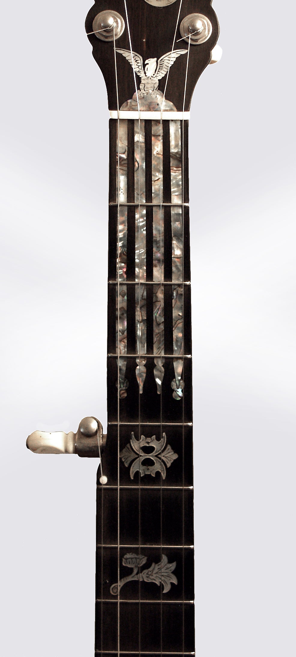 Mike Ramsey 5 String Banjo