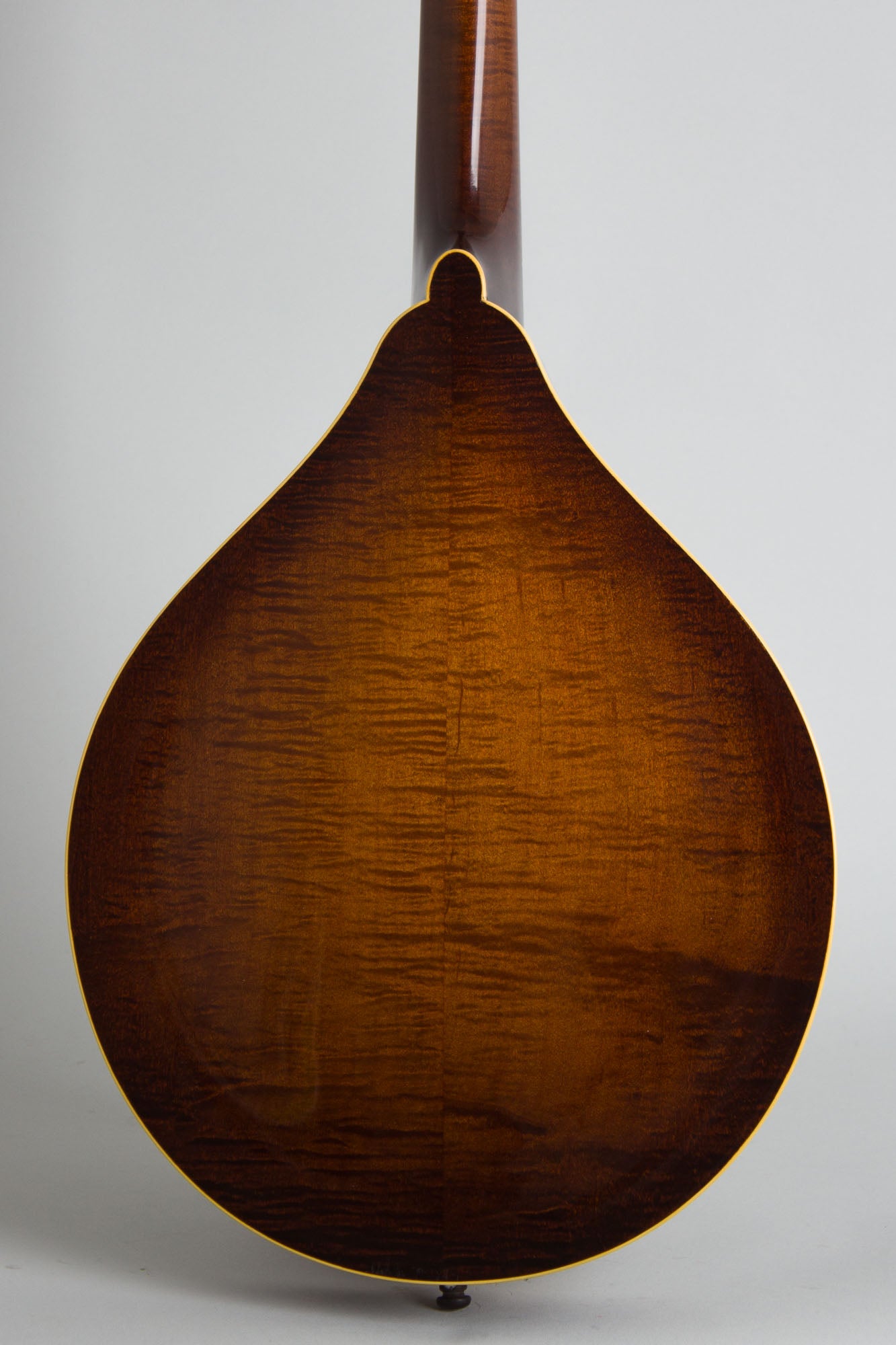 Northfield NFM-M5 Carved Top Mandola (2025)