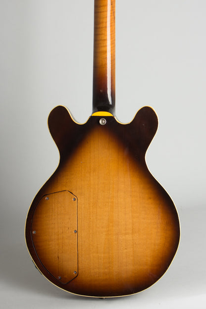 Steve Carr Mini-335 Owned and used by Elliott Sharp Semi-Hollow Body Electric Guitar (1981)