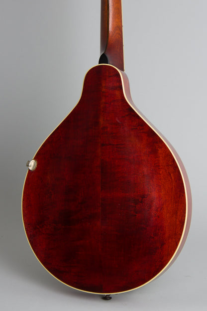 Gibson Style A-3 Carved Top Mandolin (1919)