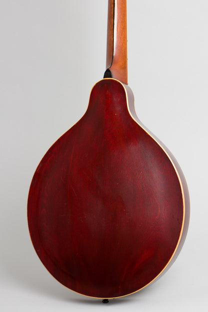 Gibson H-2 Carved Top Mandola (1912)