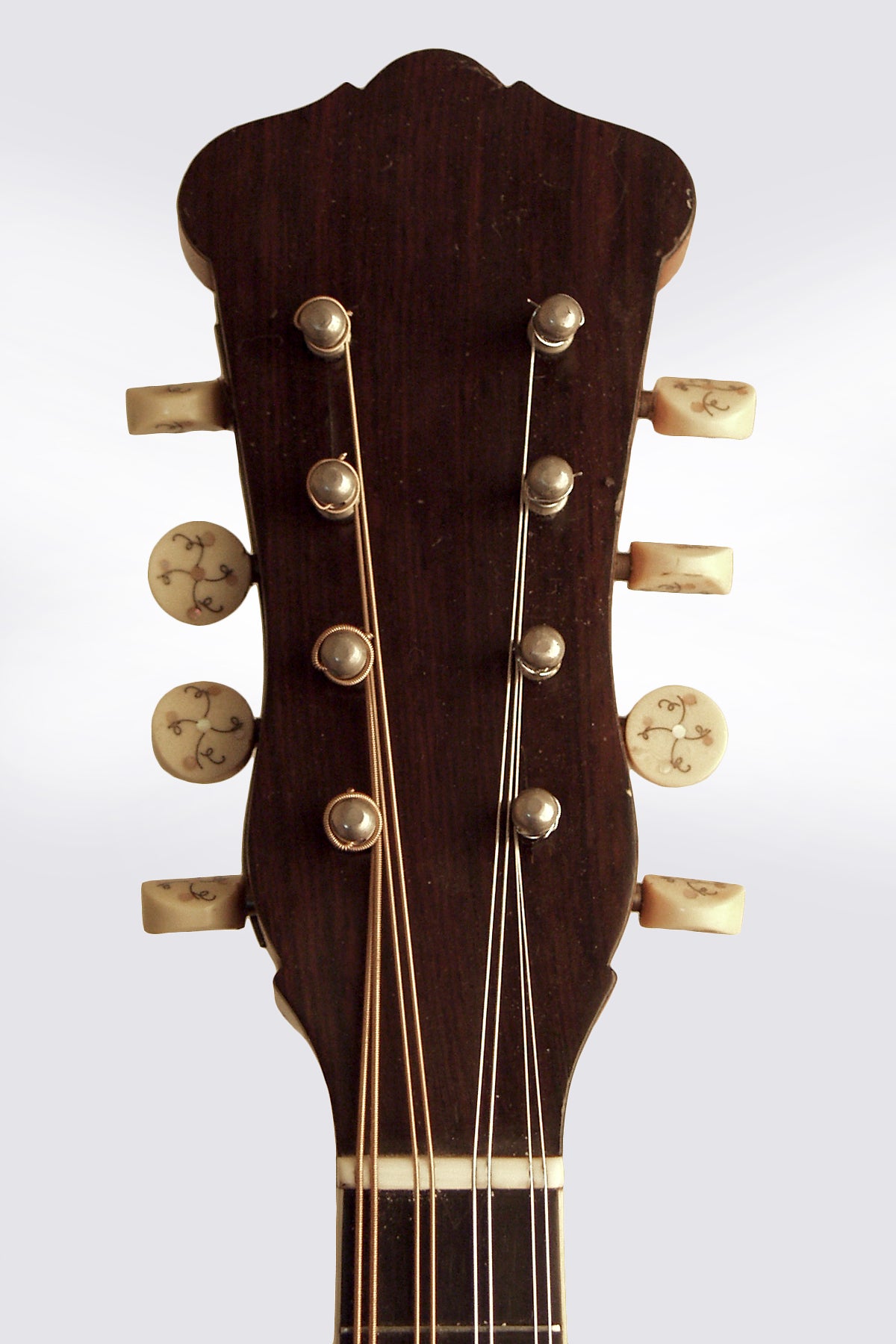 Vega Cylinder Back Style 305 Arch Top Mandolin (1916)