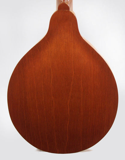 Gibson A-40N Carved Top Mandolin (1962)