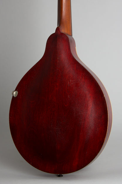 Gibson Style A- Carved Top Mandolin (1914)
