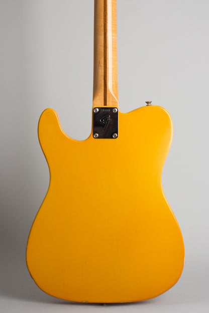 Fender Telecaster with Bigsby Solid Body Electric Guitar (1969)
