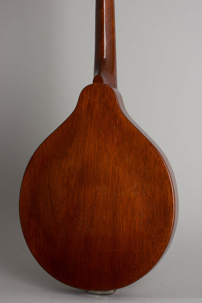 Kalamazoo KM-12 Arch Top Mandolin (1939)