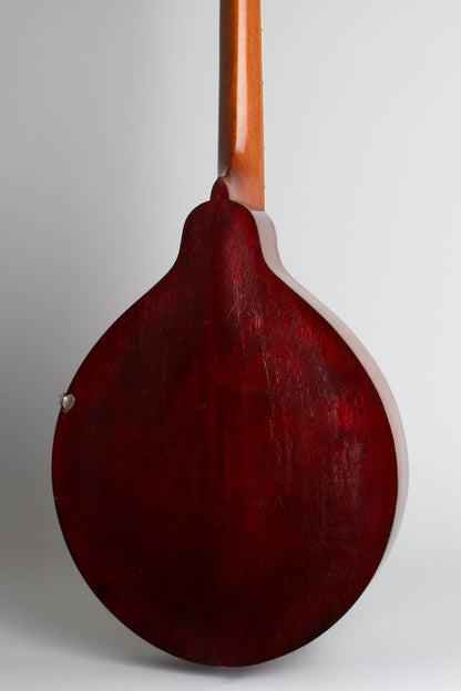 Gibson K-1 Carved Top Mandocello (1914)