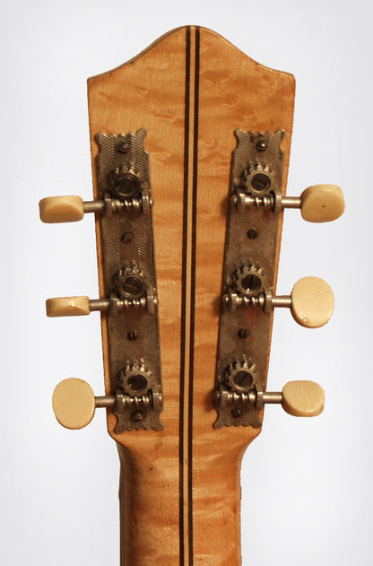 Orpheum Style 1 Guitar Banjo (1918)