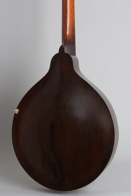 Gibson K-1 Carved Top Mandocello (1919)