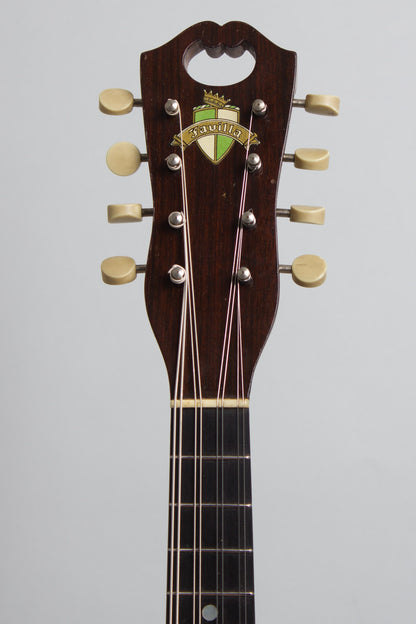 Favilla Flat Back, Bent Top Mandolin (1920s)