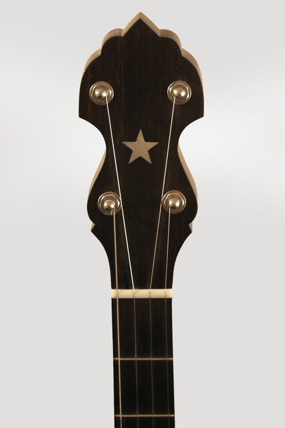 Bart Reiter Standard 5 String Banjo (2012)