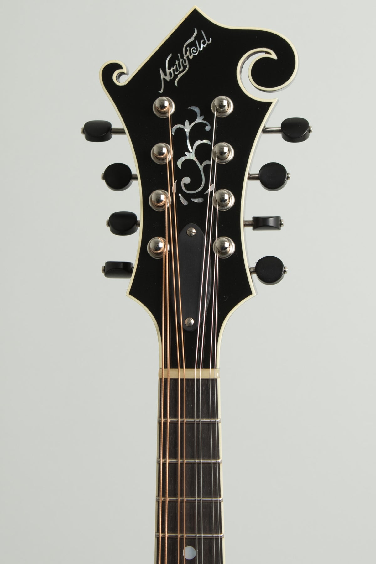 Northfield NFB-F5E Big Mon Carved Top Mandolin (2026)