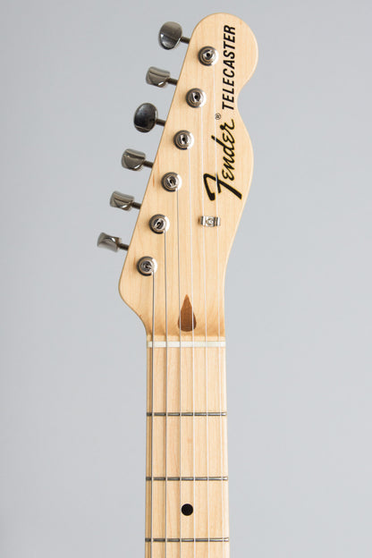 Fender TL 69-75 Paisley Telecaster Solid Body Electric Guitar (2006)