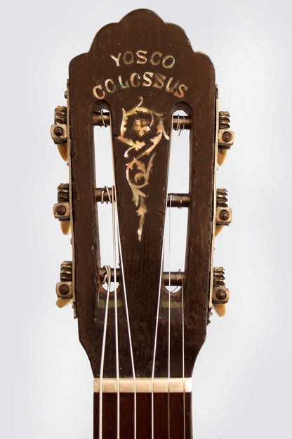Yosco Colossus Guitar Banjo (1920)